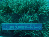 kubota